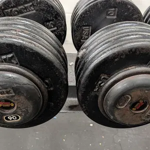 90lb. Weightlifting Dumbbells