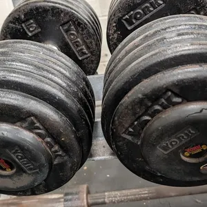 100lb. Weightlifting Dumbbells