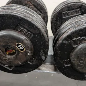 65lb. Weightlifting Dumbbells