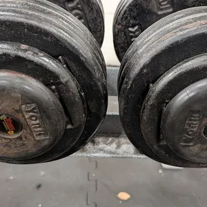75lb. Weightlifting Dumbbells