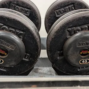 45lb. Weightlifting Dumbbells