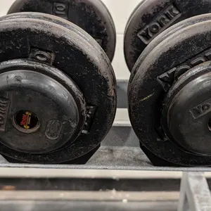 50lb. Weightlifting Dumbbells