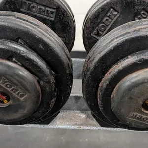 55lb. Weightlifting Dumbbells