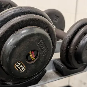 27.5lb. Weightlifting Dumbbells