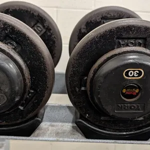 30lb. Weightlifting Dumbbells