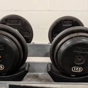 17.5lb. Weightlifting Dumbbells
