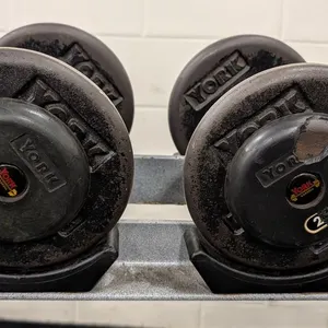 20lb. Weightlifting Dumbbells