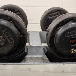 22.5lb. Weightlifting Dumbbells