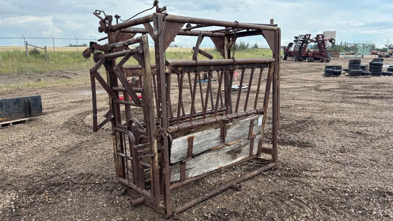 Cattle Squeeze