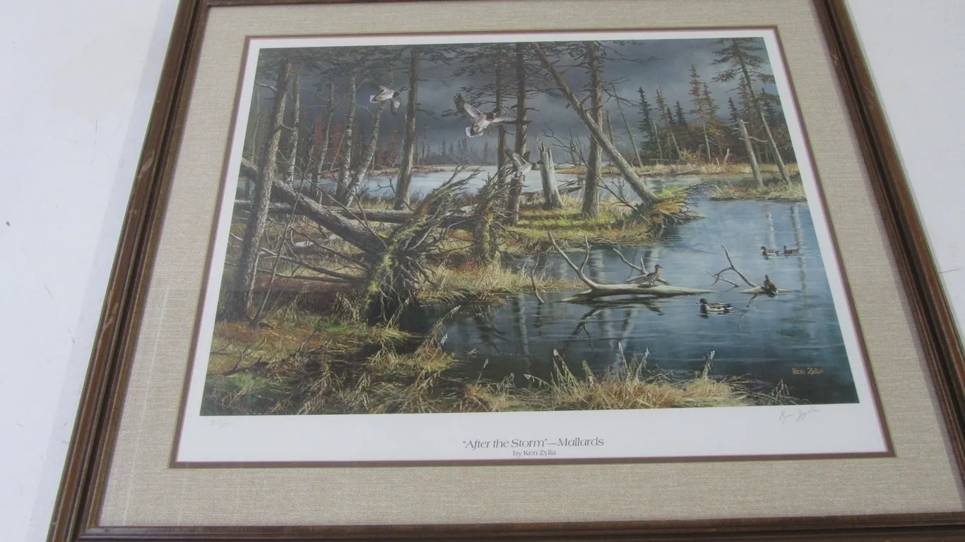 "After The Storm - Mallards" By Ken Zylla