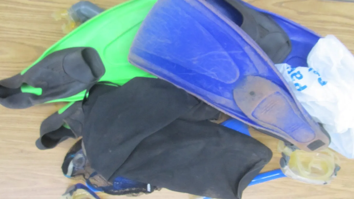 Lot Of Snorkeling Equipment