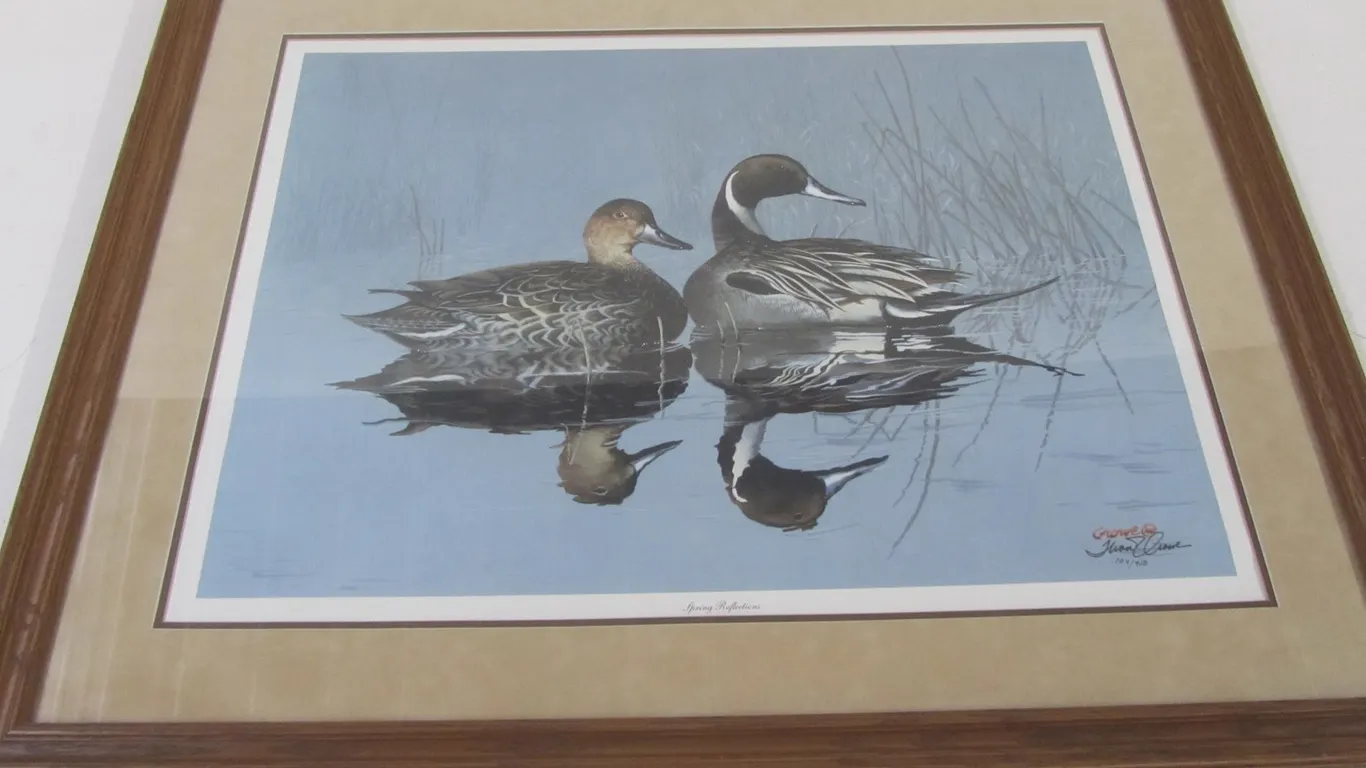 "Spring Reflections" By Phillip Crowe
