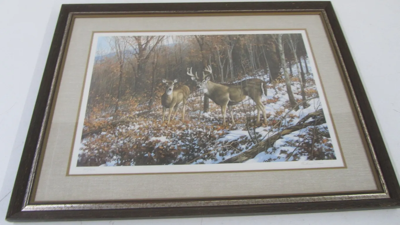 Michael Sieve 1979 Whitetail Deer Print