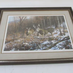 Michael Sieve 1979 Whitetail Deer Print