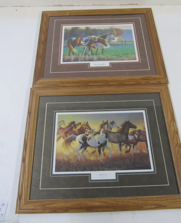 (2) Cynthie Fisher Horse Prints