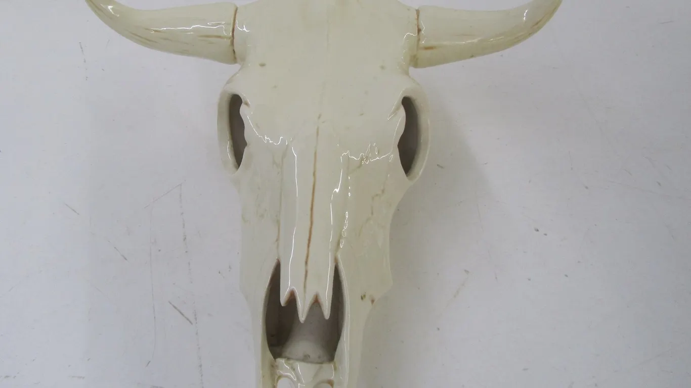 Ceramic Bull Skull Decoration