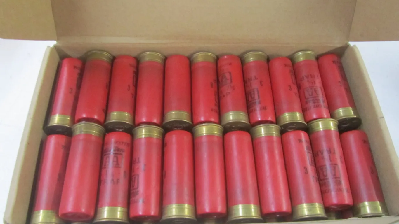 (66) 12g 3" Rounds