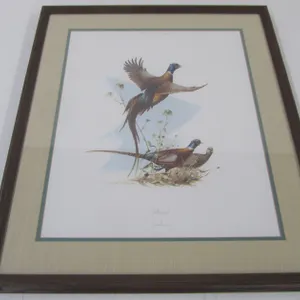 "Pheasants" By Douglas Van Howd Print