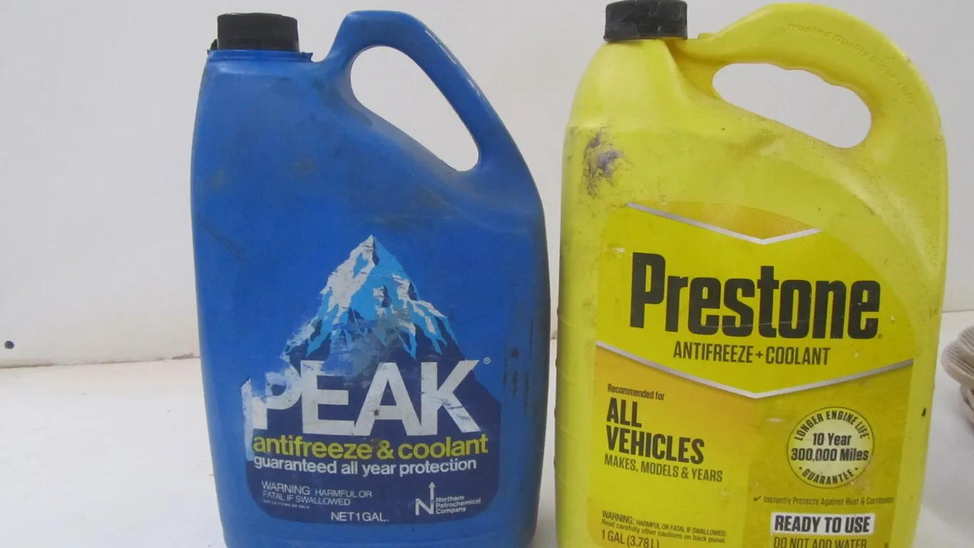 (2) Gallons Of Antifreeze/Coolant