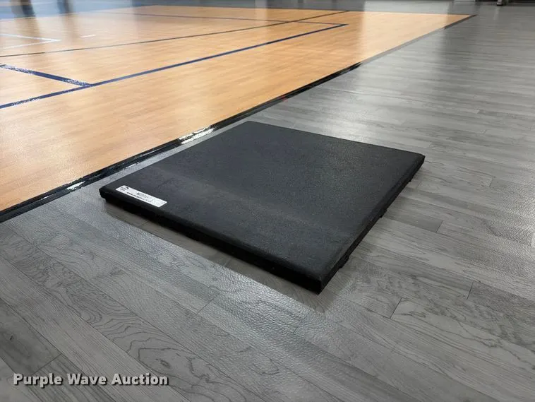(20) rubber floor tiles