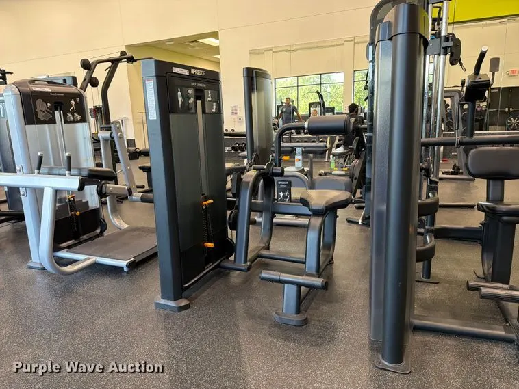 Precor Discovery Selectorized Strength Line back extension machine