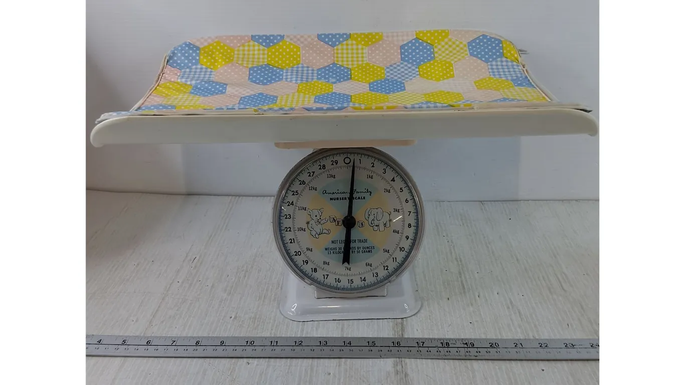 Nursery Scale for Newborns and Infants Works