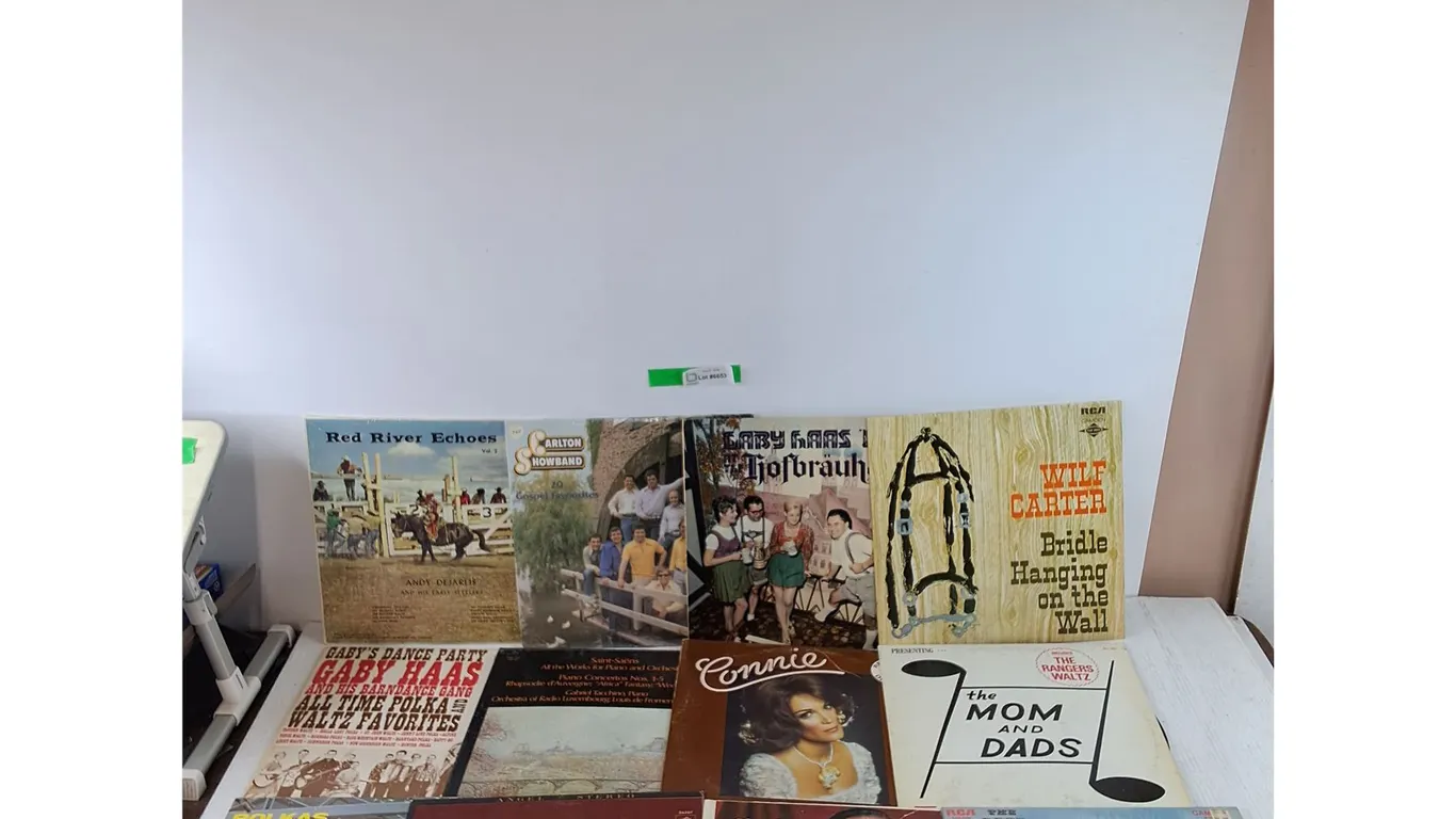 (12) Vinyl Records, Gaby Haas, Wilf Carter, Carlton Showband, Charles Magnante, Connie Francis