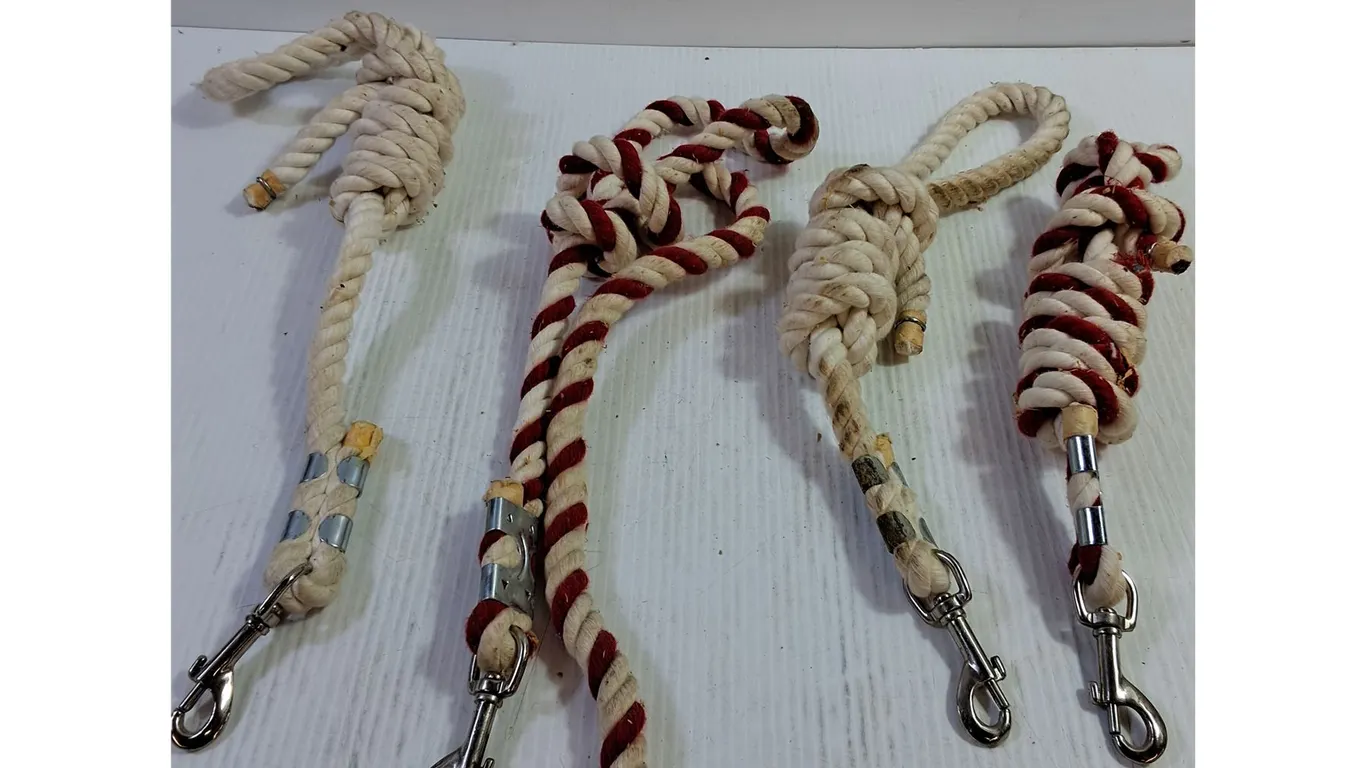 Horse Rope Leads (4)