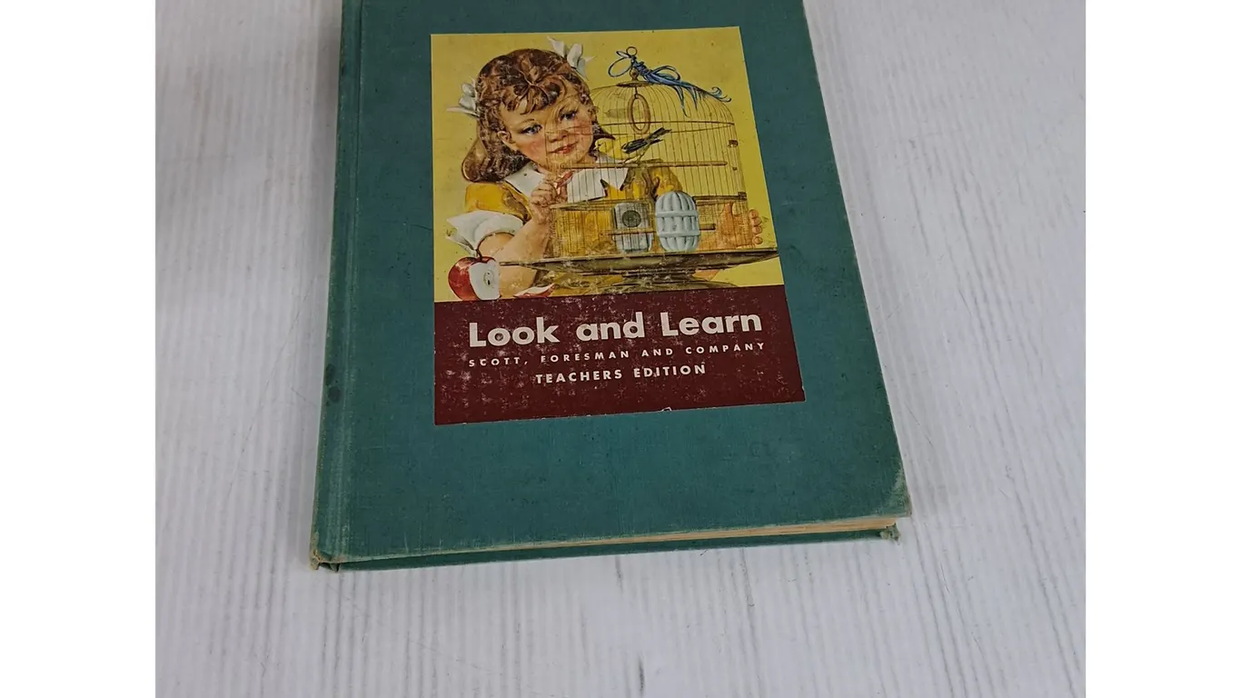 Look And Learn Teachers Edition Book