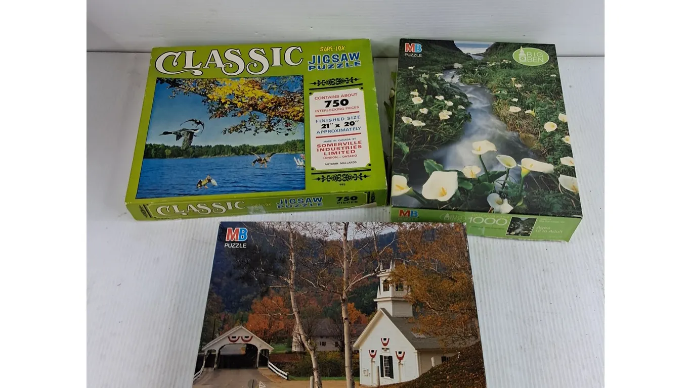 Assorted Jig Saw Puzzles