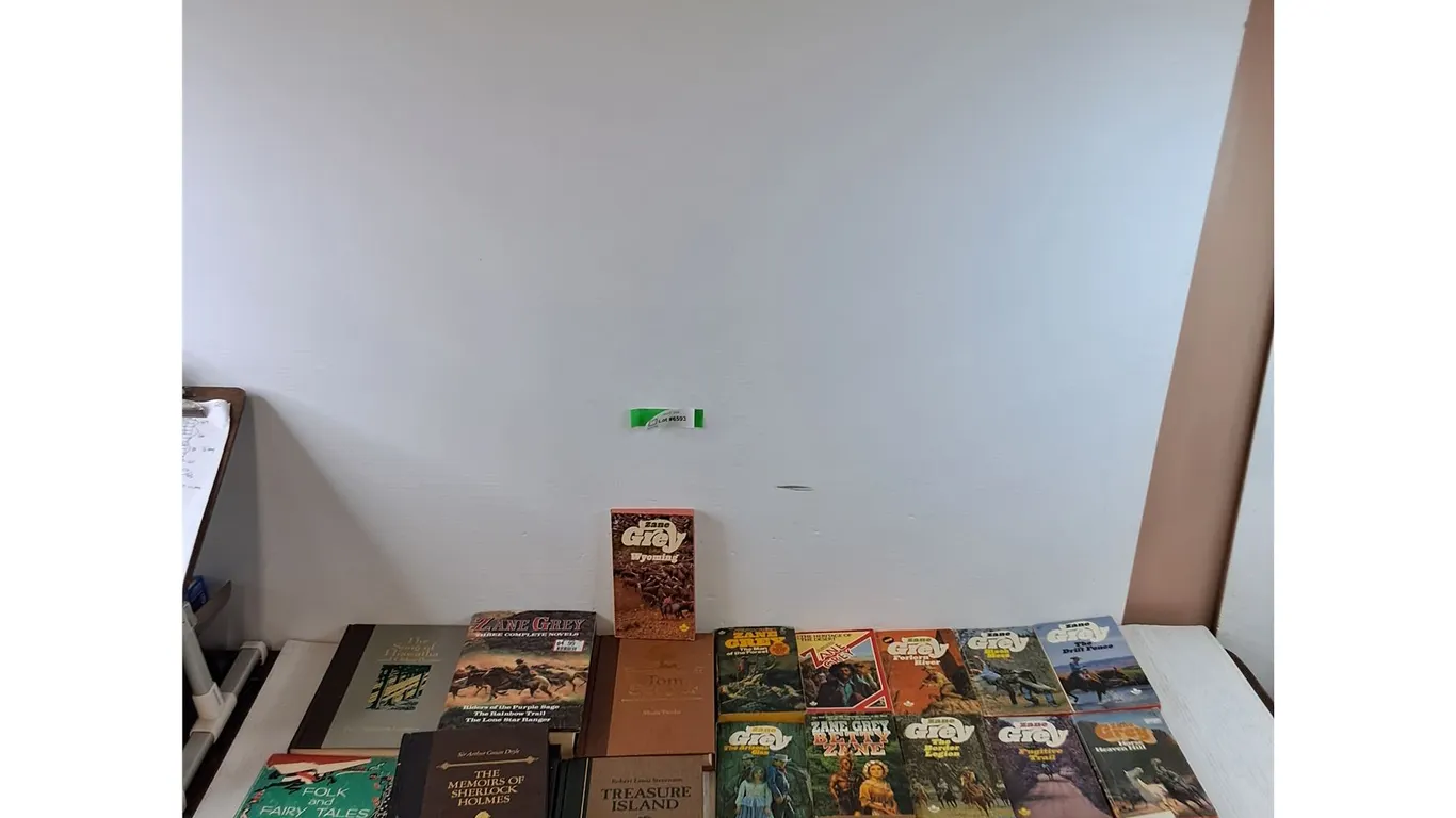 Assorted Western and Classic Books, Zane Grey, Treasure Island, Sherlock Holmes, Road to Oz
