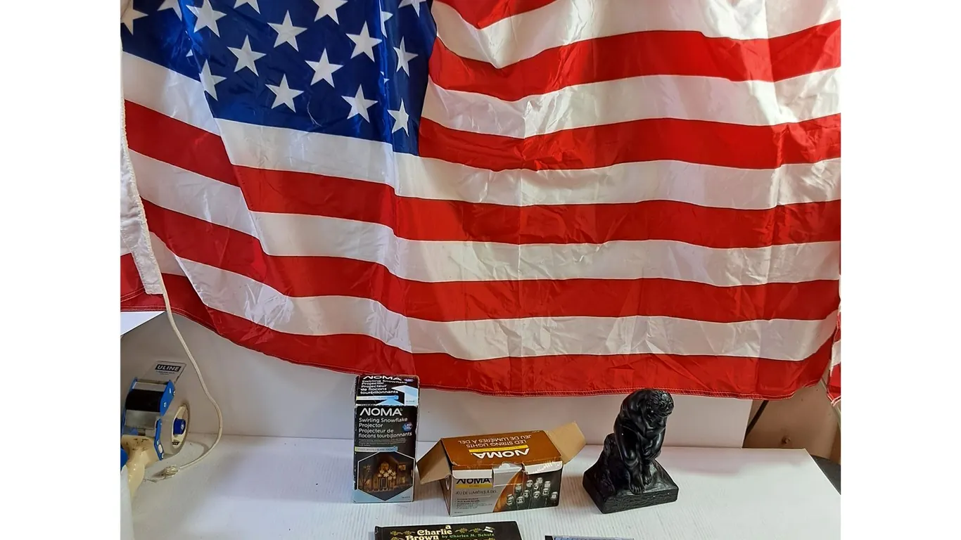 NOMA LED String Lights, Snowflake Projector, Thinker Statue 9", USA Flag (70x35")