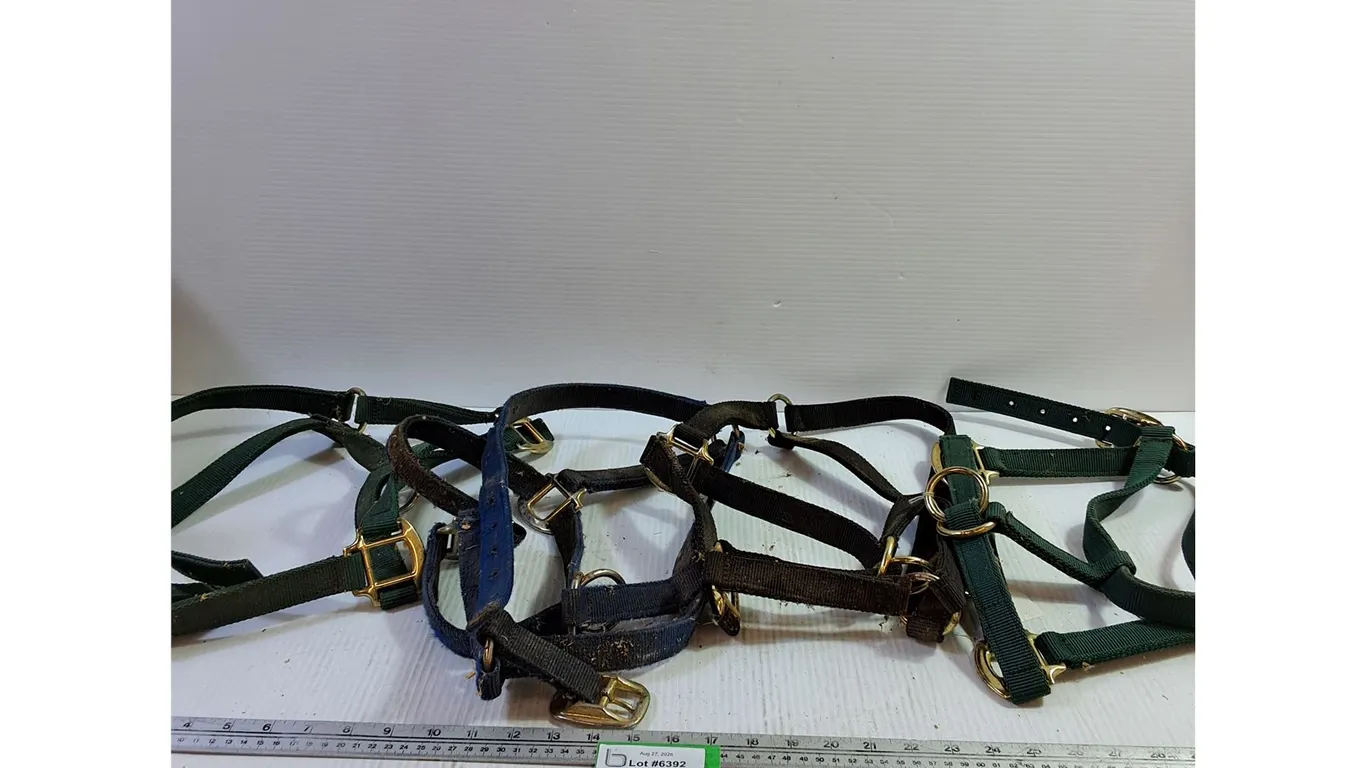 Horse Halters (4)