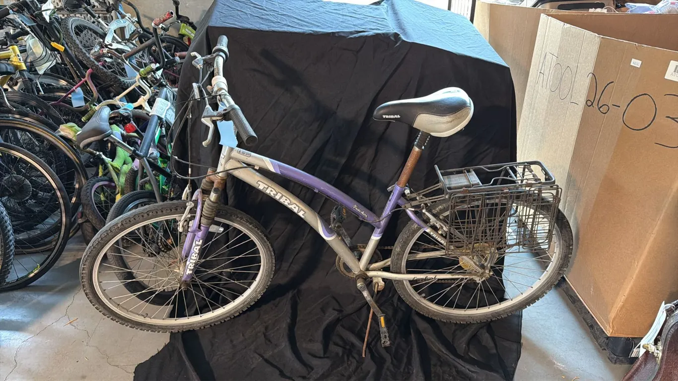 TRIBAL TRACKER 7 SPEED SILVER/PURPLE MOUNTAIN BICYCLE