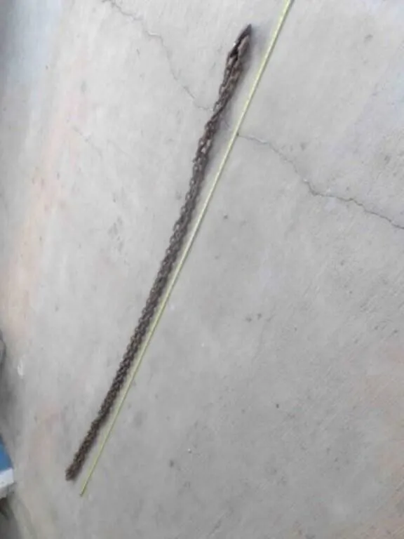 18� Chain w/Double Hooks