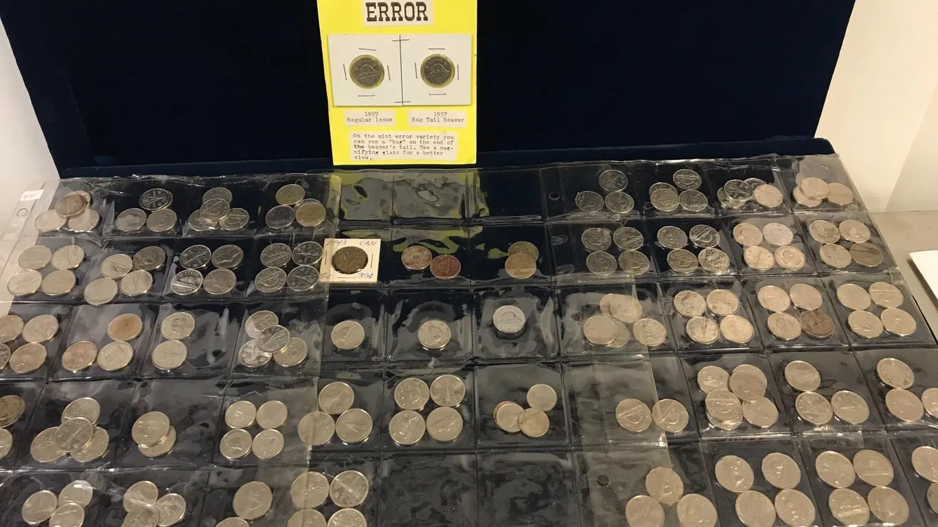 Canadian and American Nickels and Dimes assorted