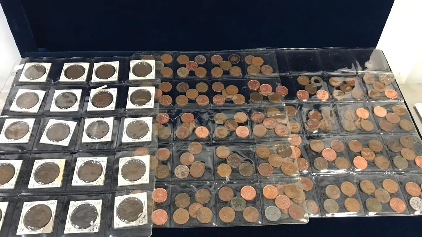 Canadian and American Pennies assorted
