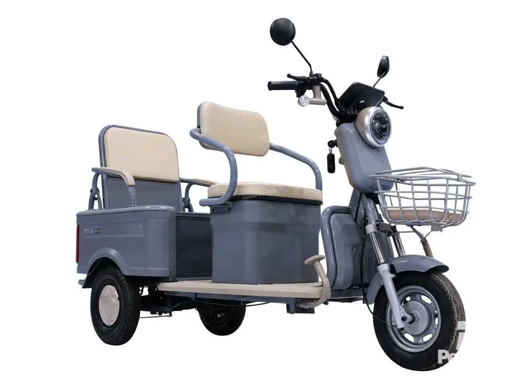 2026 SDLANCH MGC40 Electric Tricycle
