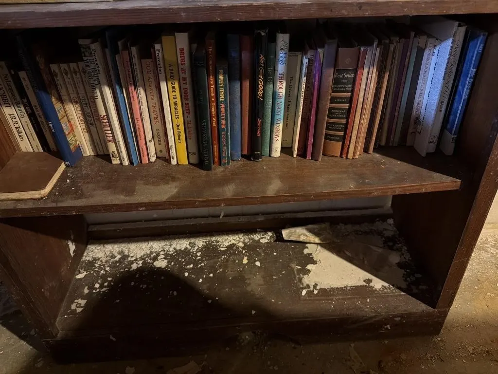 Shelf lot of books