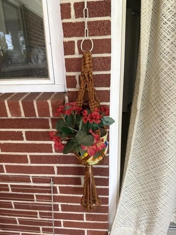 Hanging plant