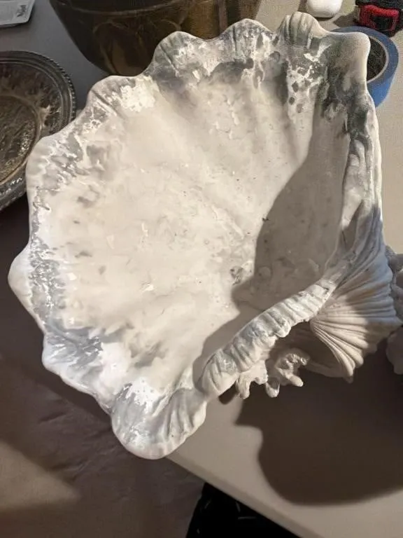 Sea shell decor