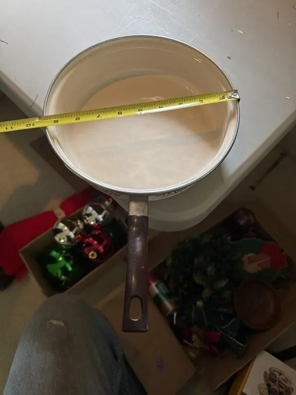 Skillet 9 1/2 inch