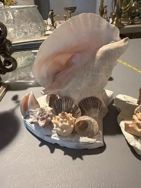 Sea She�ll decor