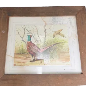 D.F. Lay Pheasant Game Bird Print Framed Vintage Wildlife Art 19x22