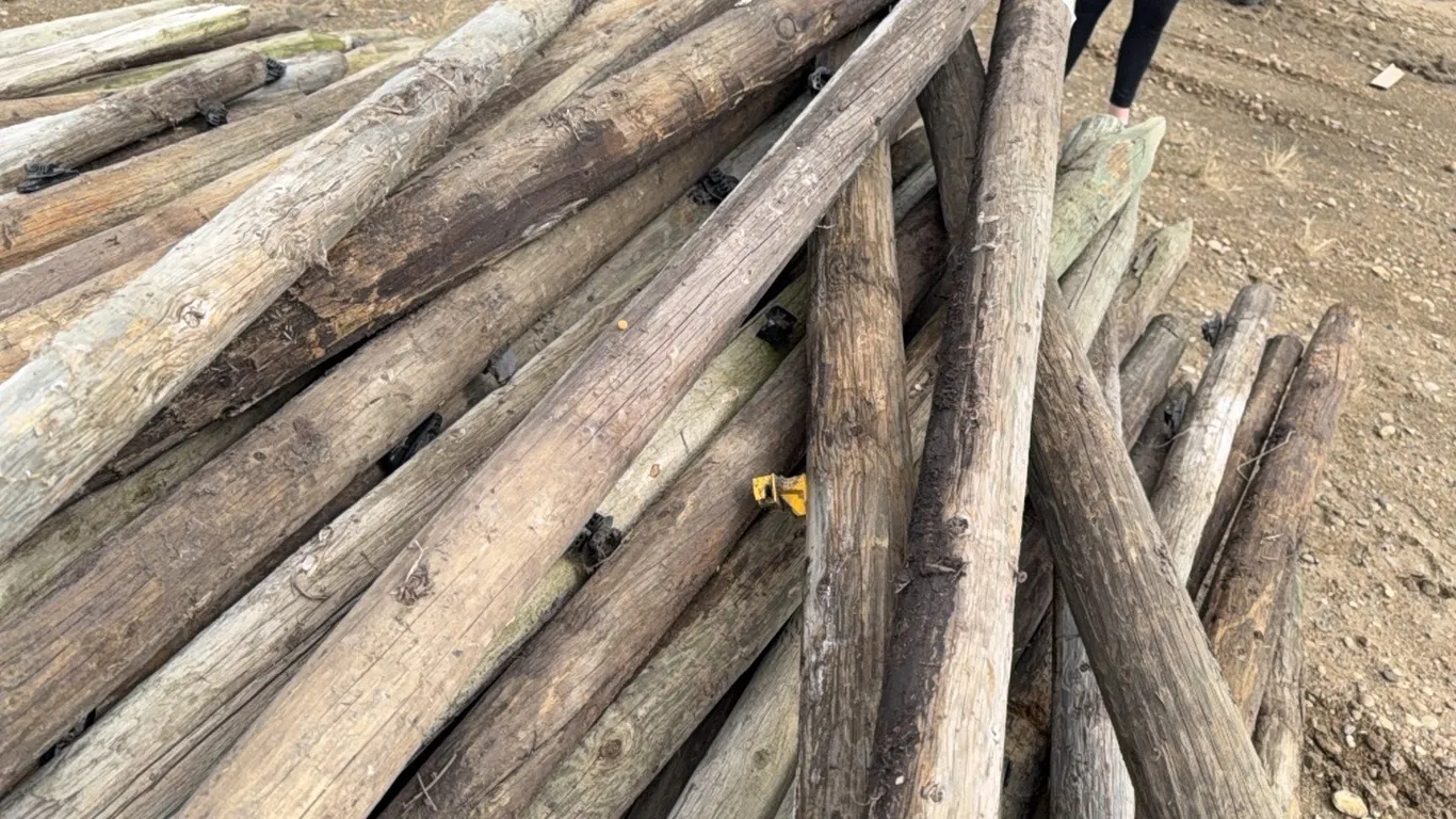 APROX 125 - 4" - 5" X 6' TREATED FENCE POSTS