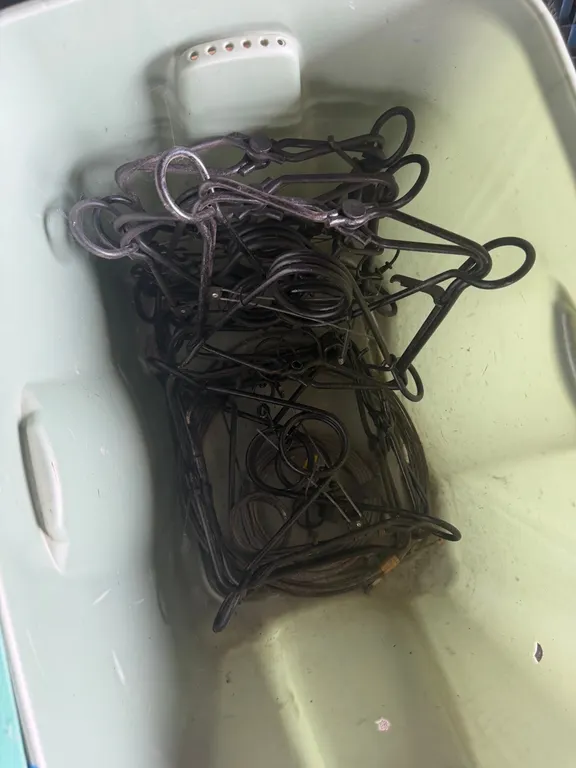 (5) Large size Conibear traps