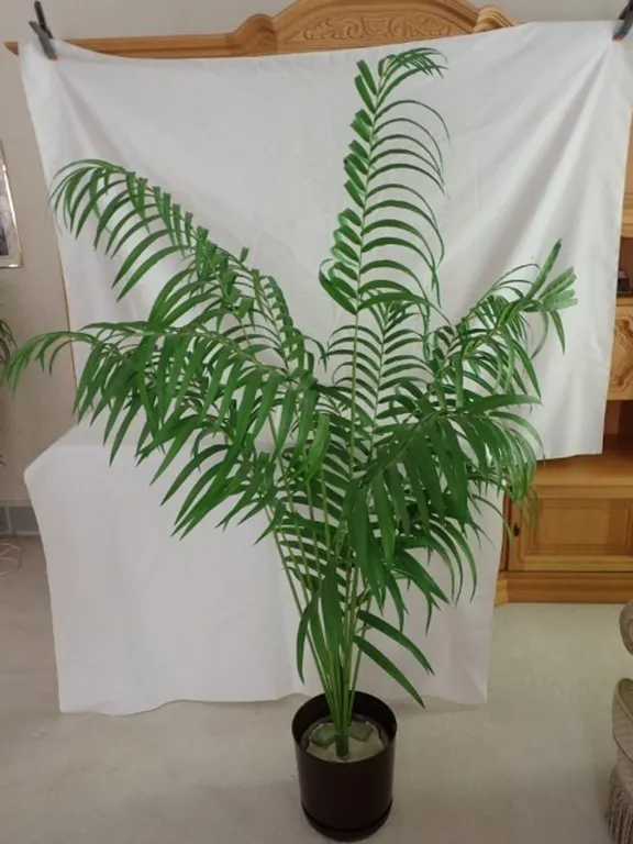 Faux Palm Plant