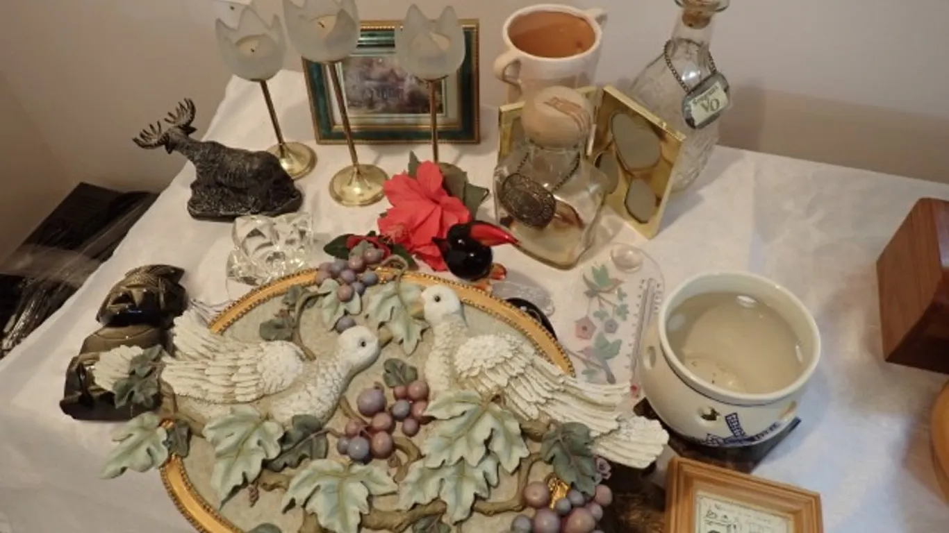 Moose, Doves and more