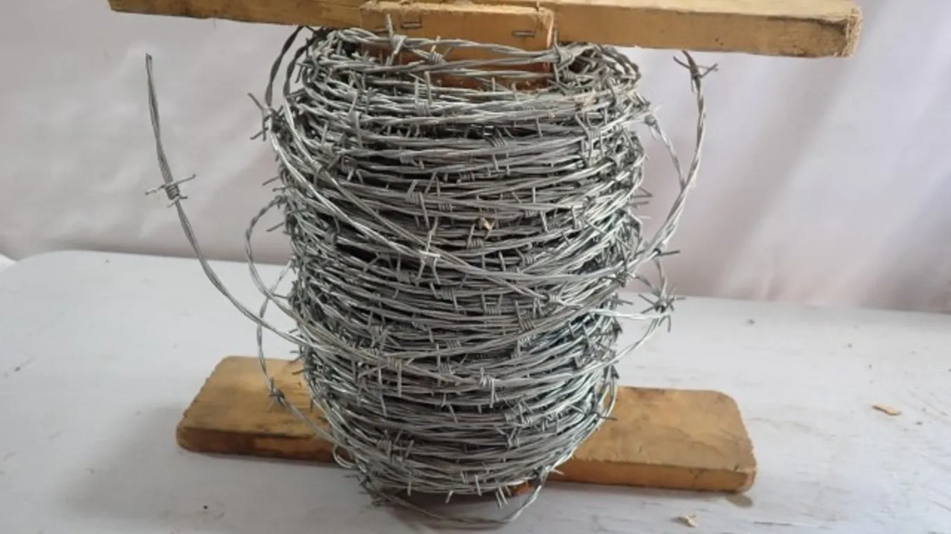 Galvanized Barbed Wire