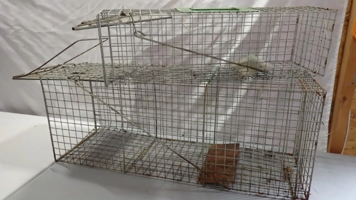 Pair of Live Catch Animal Cage Traps